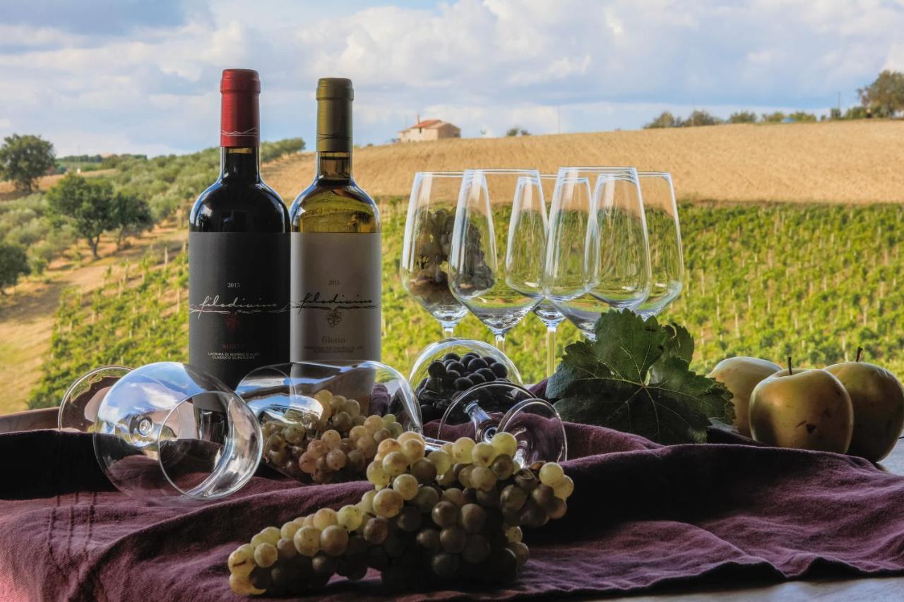 Filodivino Wine Resort & Spa San Marcello  Eksteriør billede