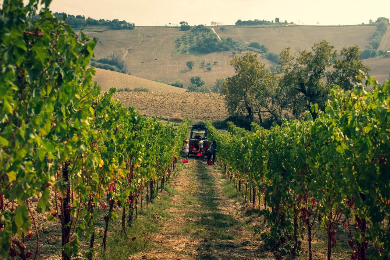 Filodivino Wine Resort & Spa San Marcello  Eksteriør billede