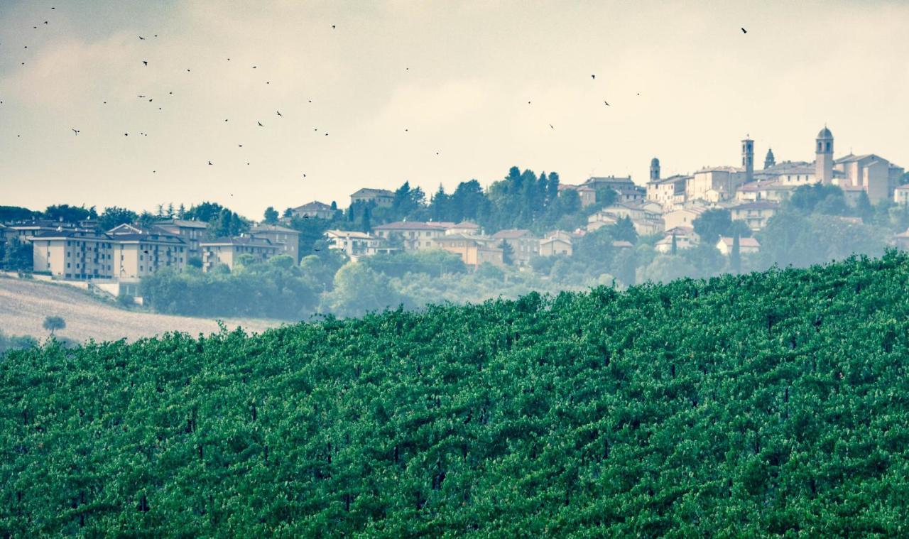 Filodivino Wine Resort & Spa San Marcello  Eksteriør billede